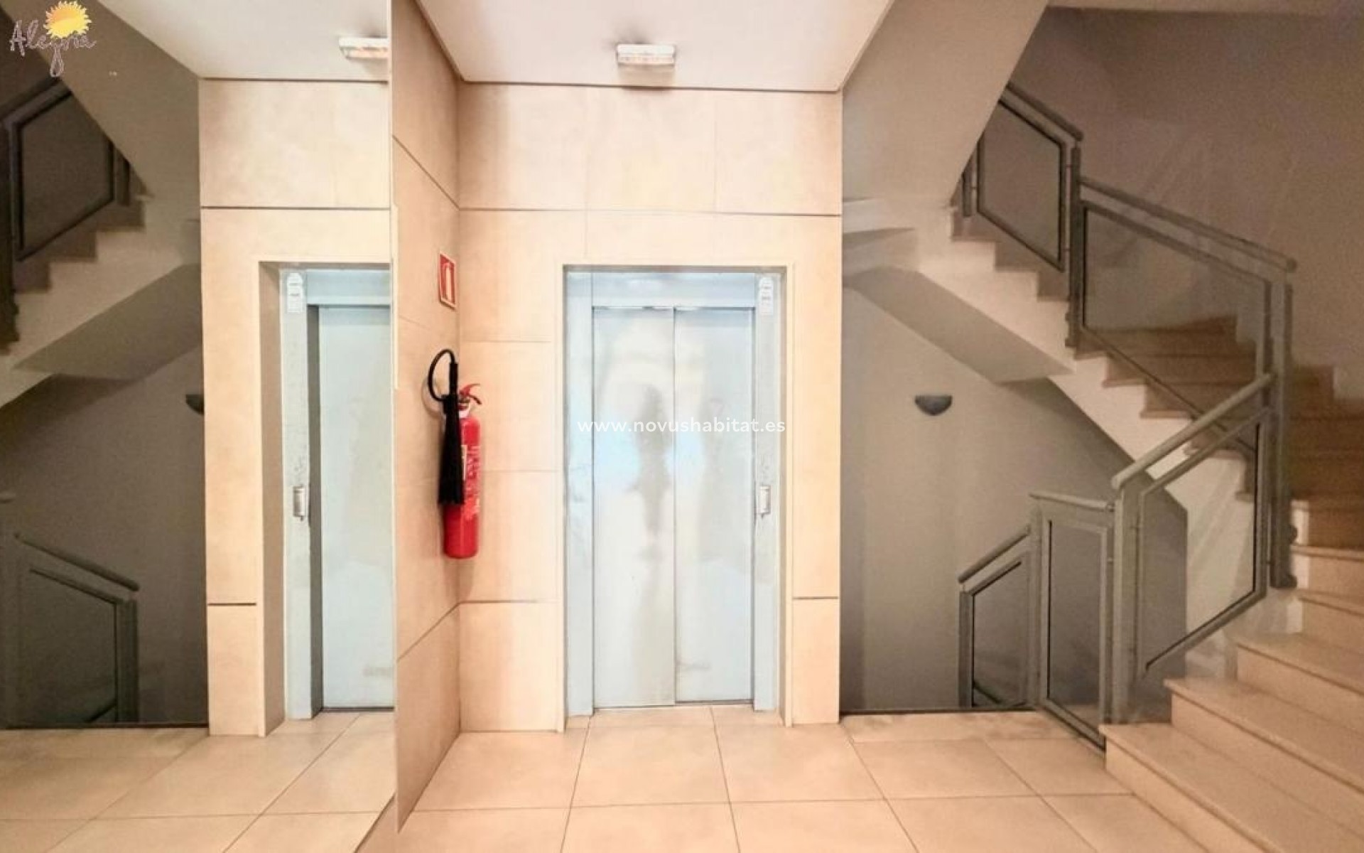 Nieuwbouw - Apartament - Torrevieja