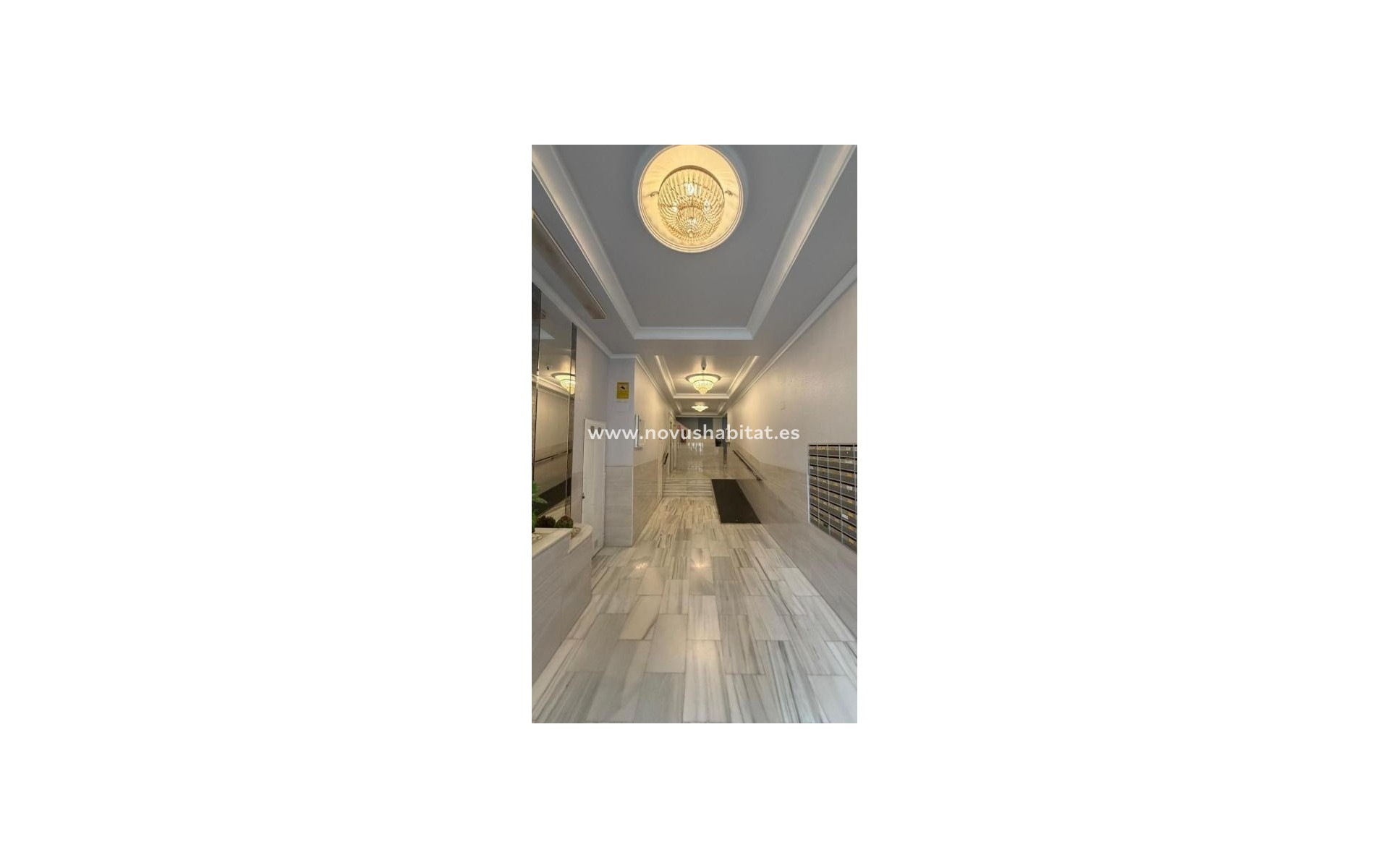 Nieuwbouw - Apartament - Torrevieja