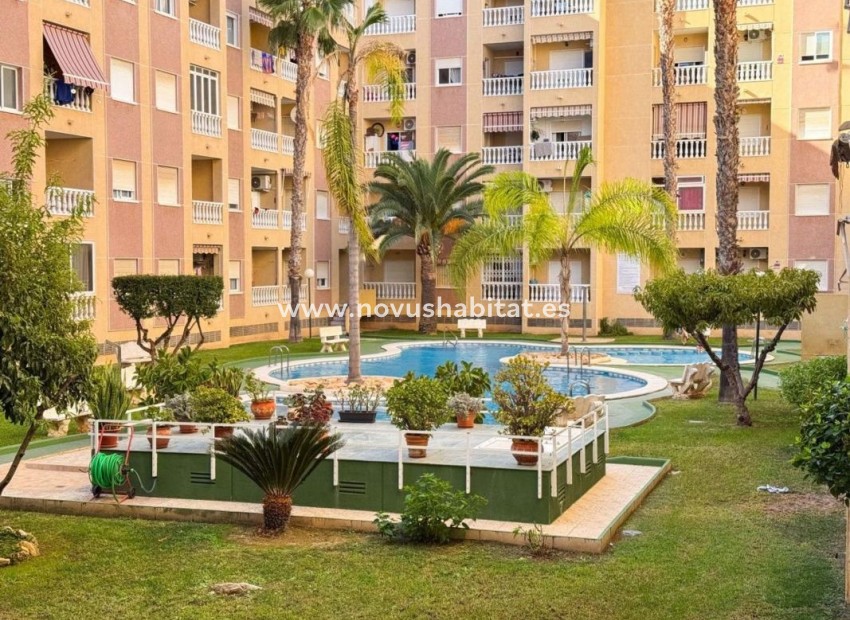 Nieuwbouw - Apartament - Torrevieja