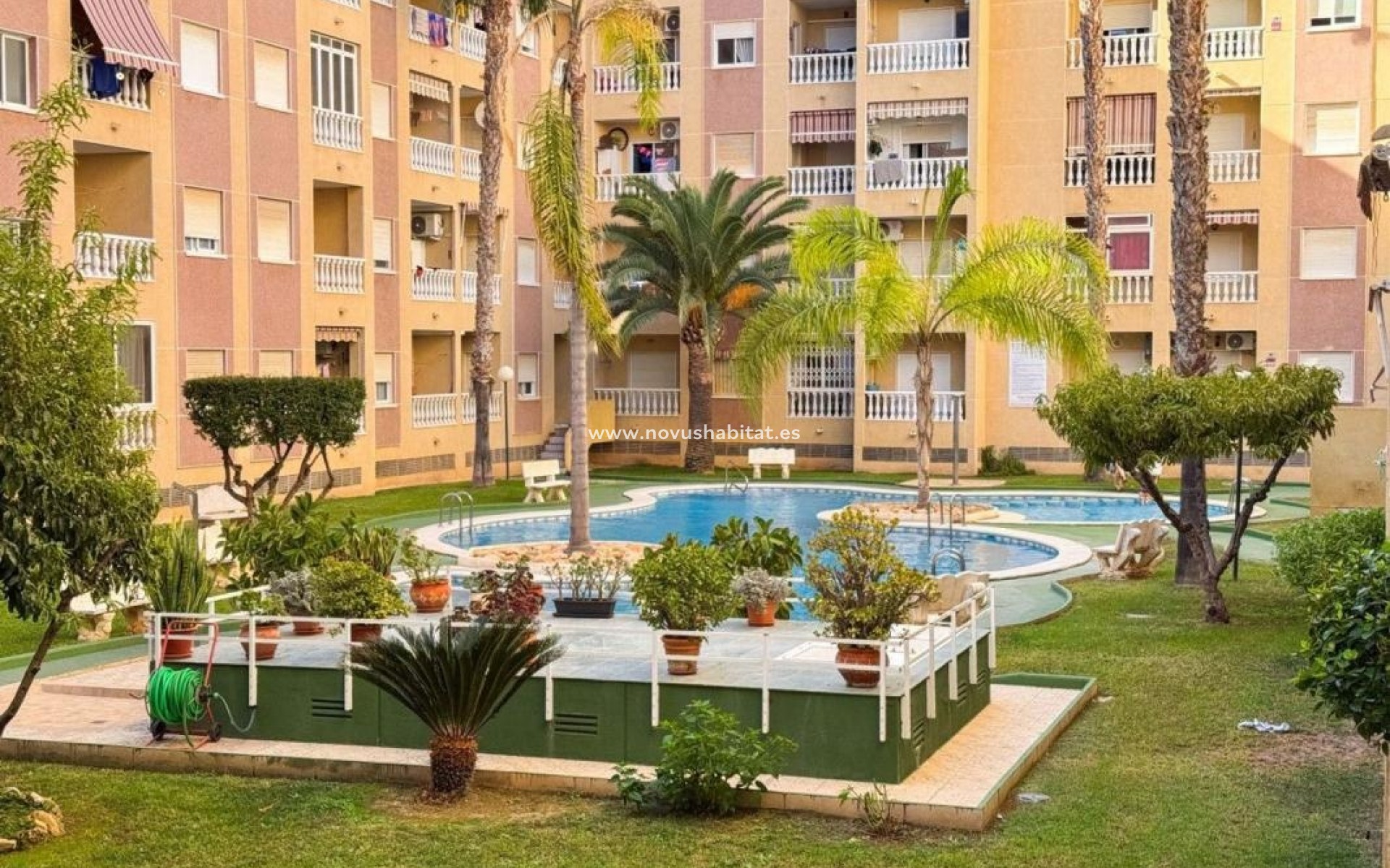 Nieuwbouw - Apartament - Torrevieja