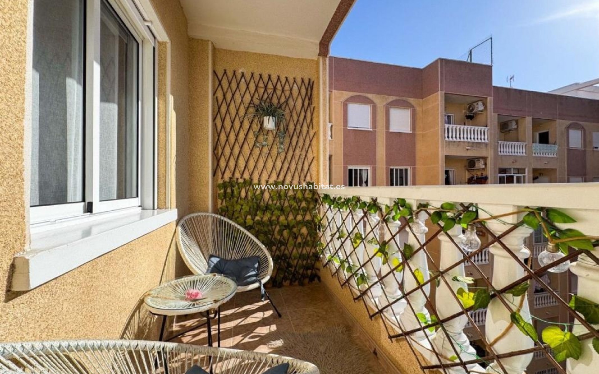 Nieuwbouw - Apartament - Torrevieja