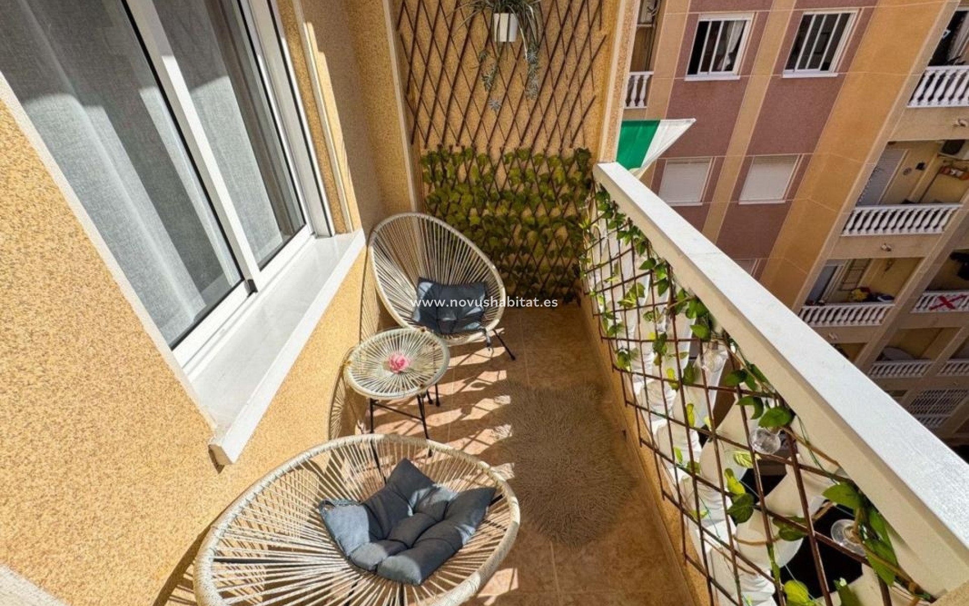 Nieuwbouw - Apartament - Torrevieja