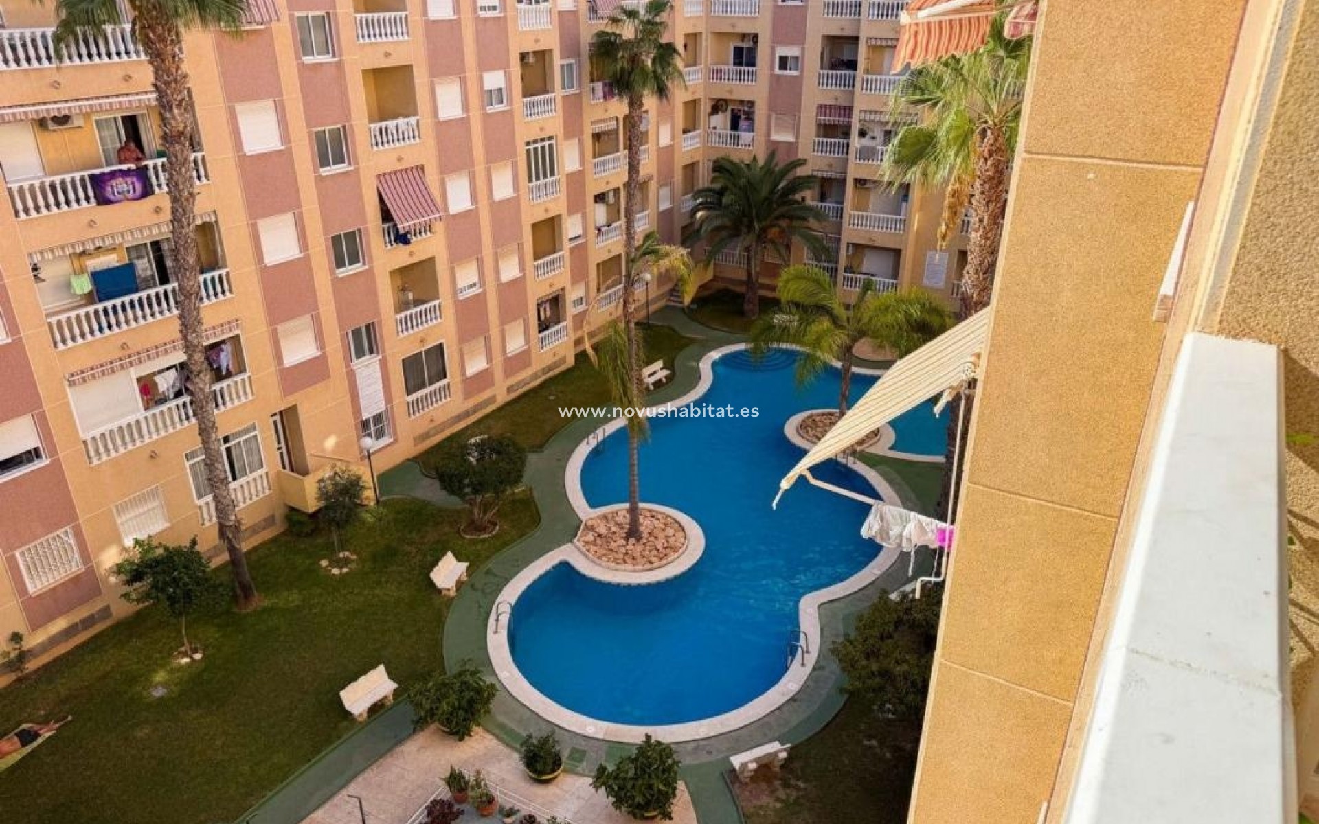 Nieuwbouw - Apartament - Torrevieja