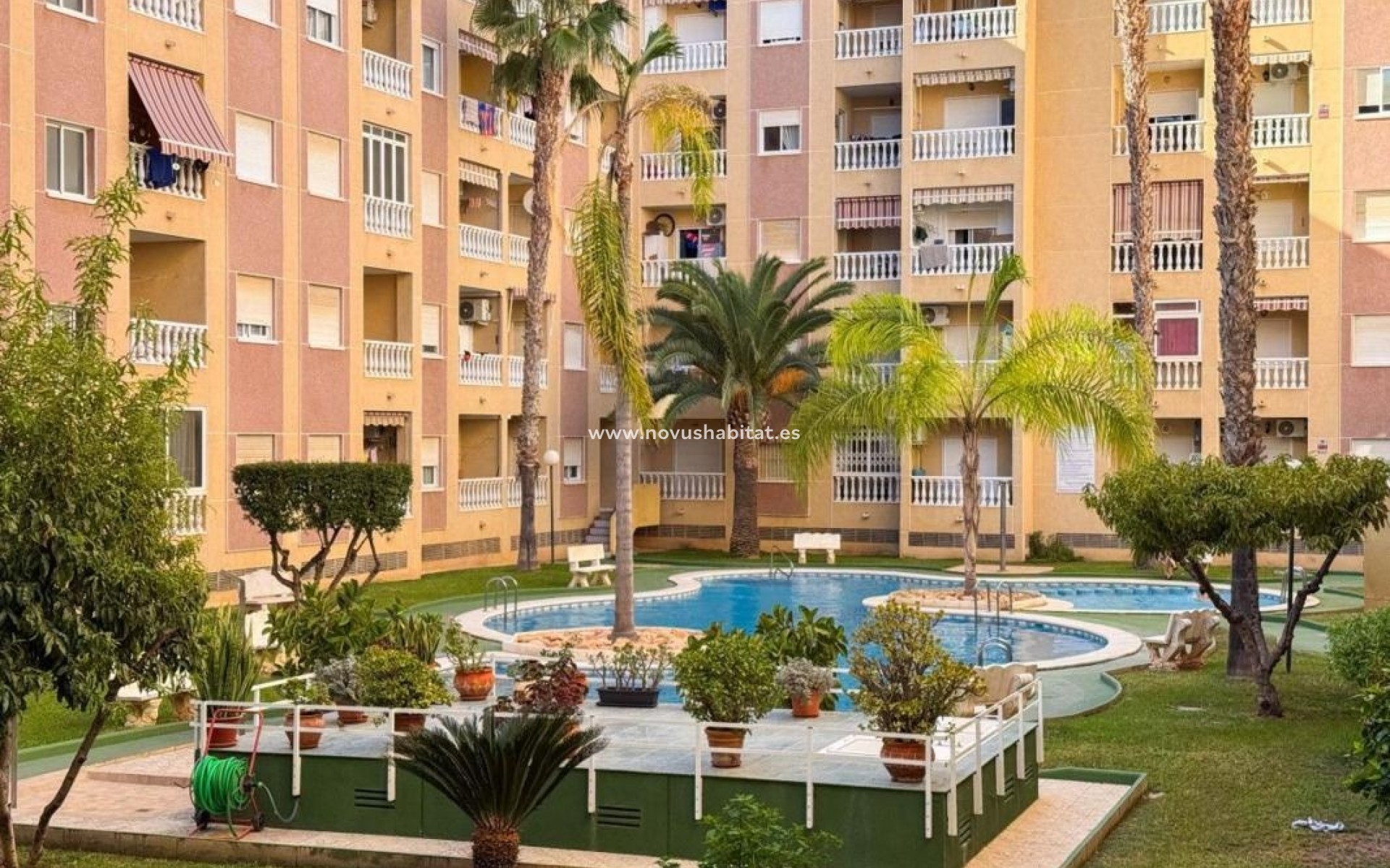 Nieuwbouw - Apartament - Torrevieja
