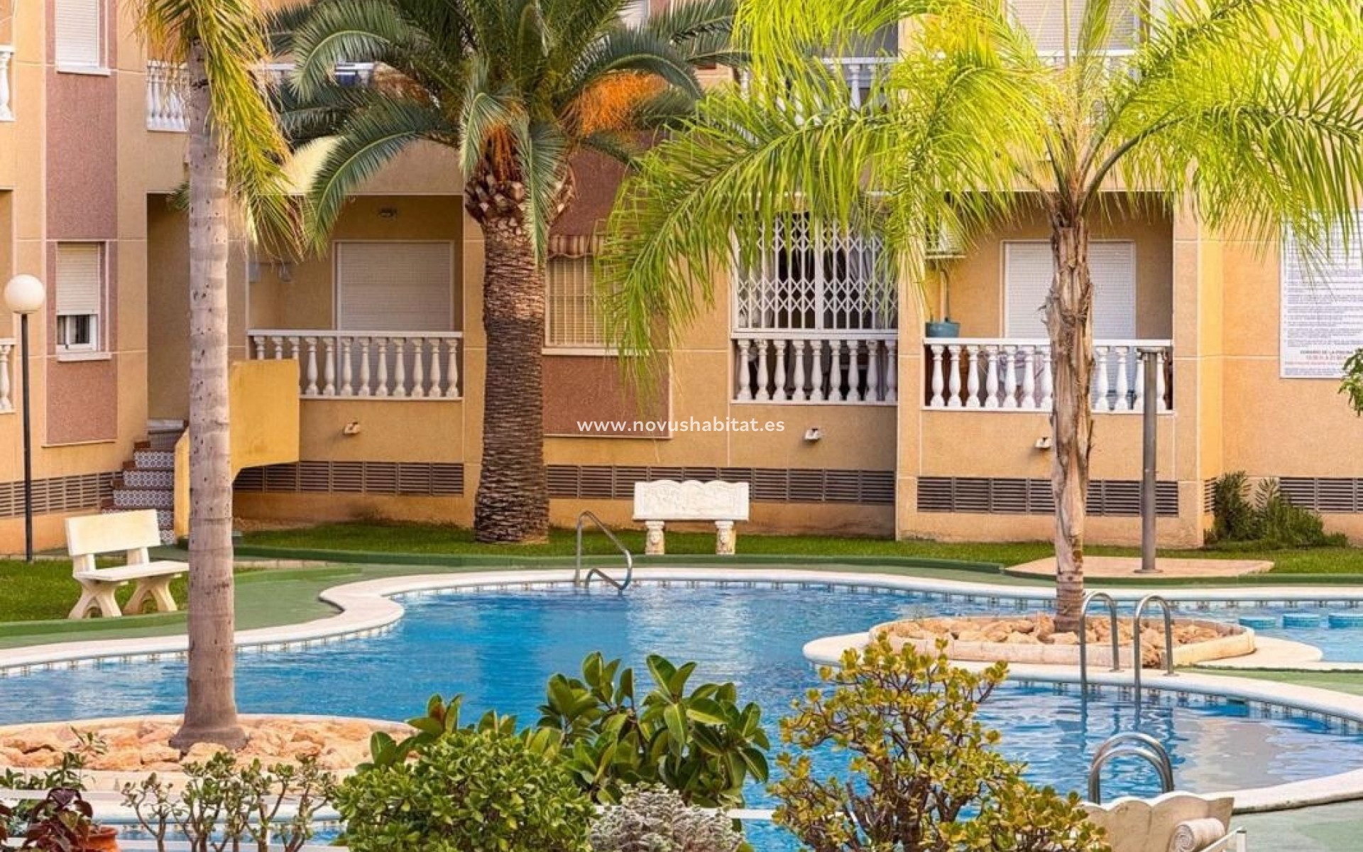 Nieuwbouw - Apartament - Torrevieja