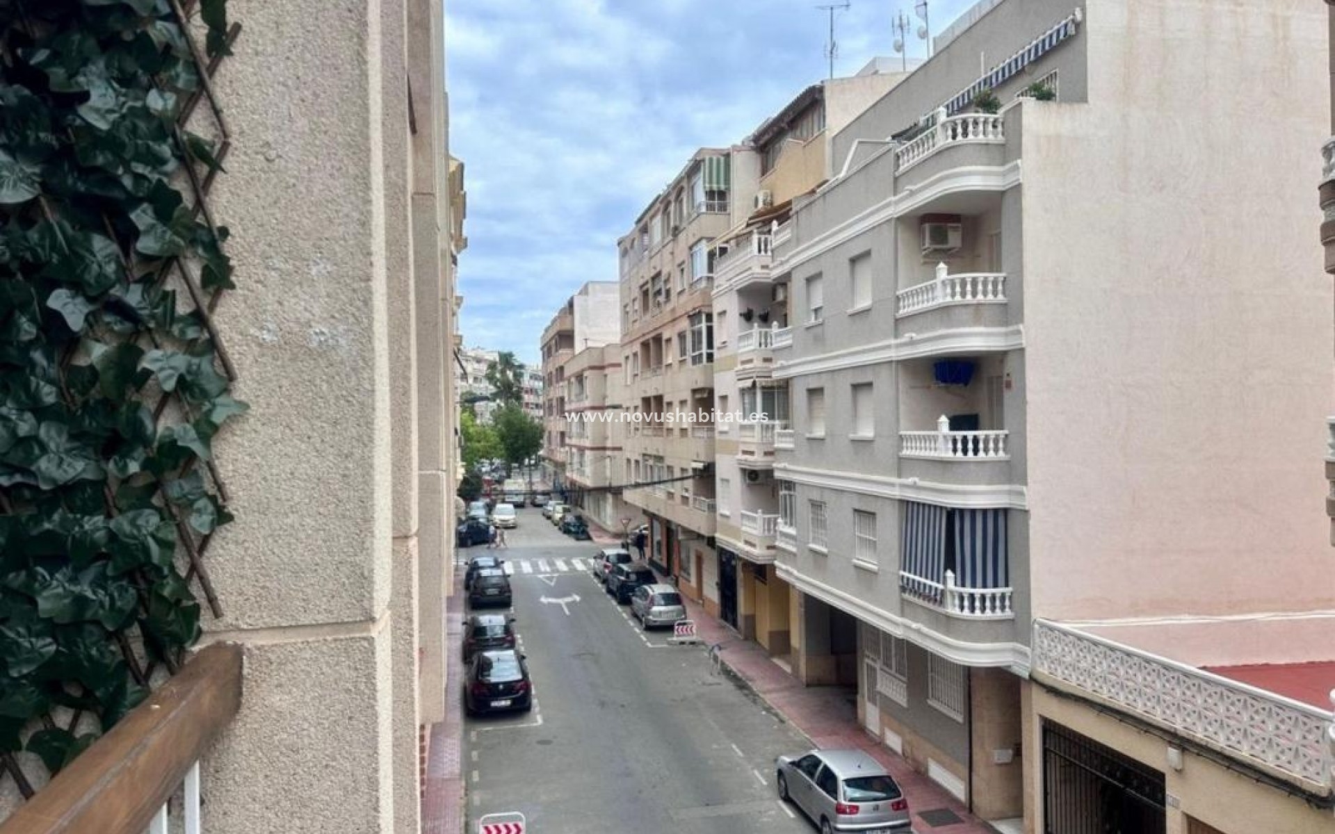 Nieuwbouw - Apartament - Torrevieja