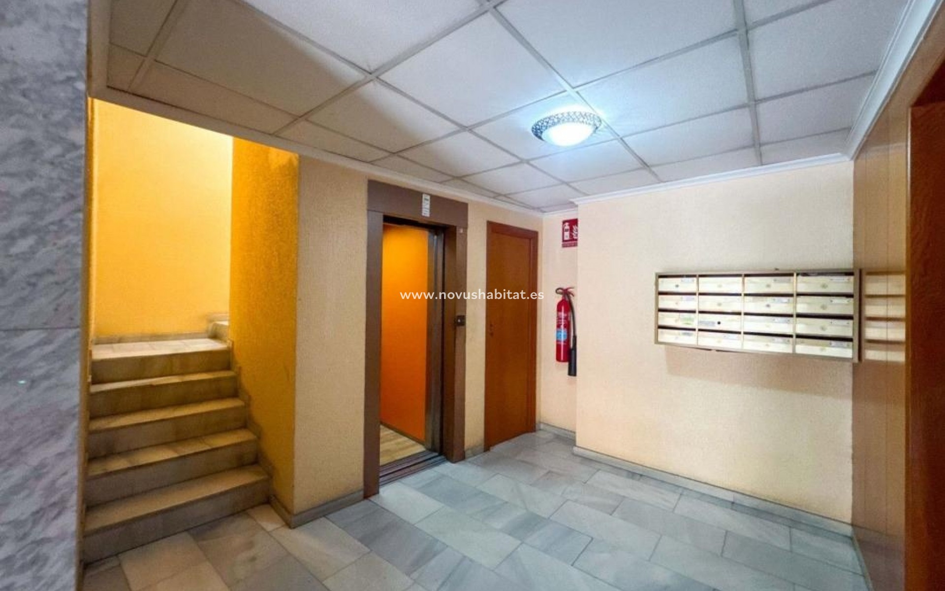Nieuwbouw - Apartament - Torrevieja