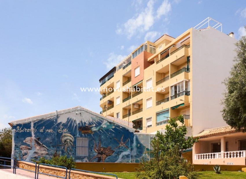 Nieuwbouw - Apartament - Torrevieja