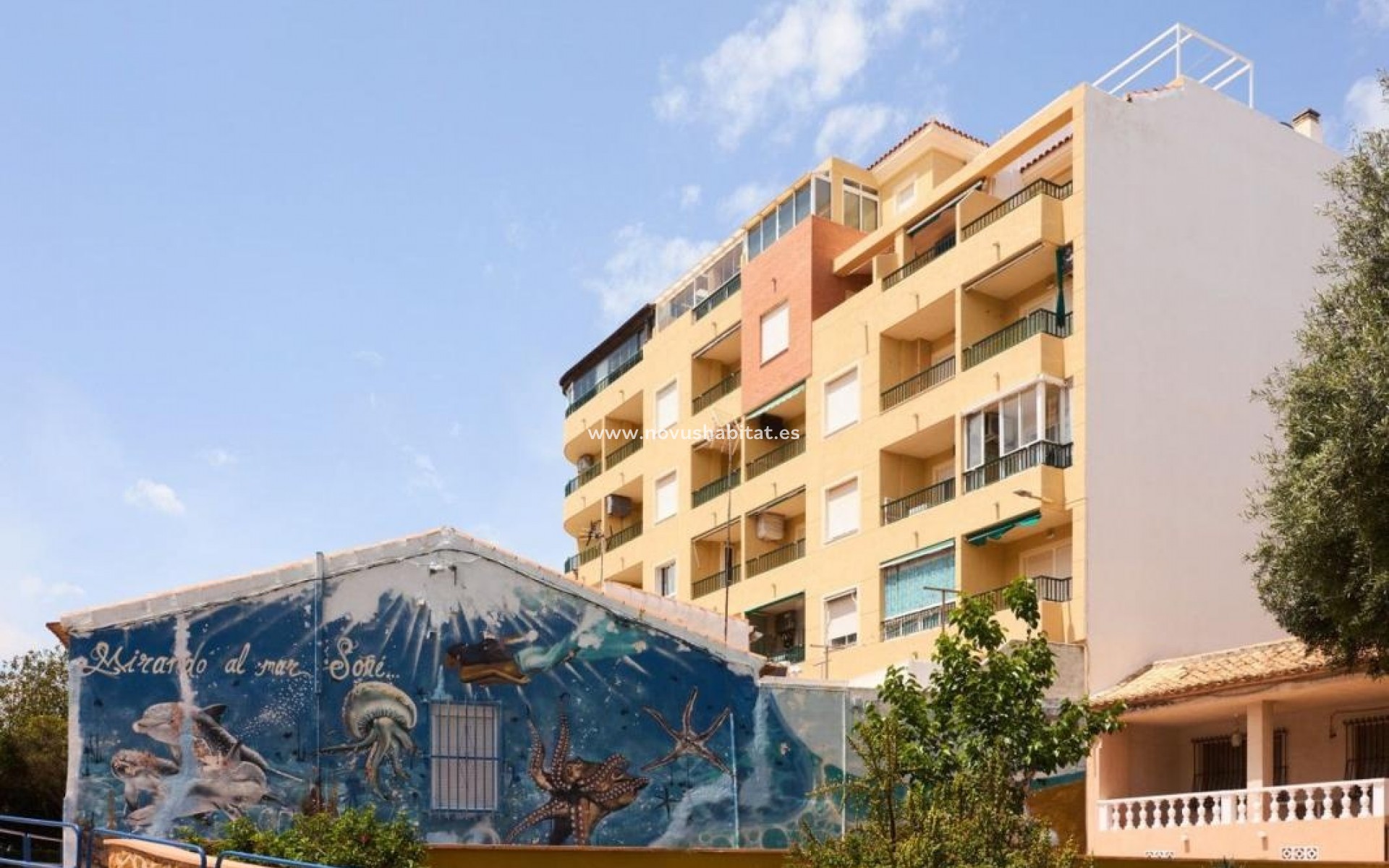 Nieuwbouw - Apartament - Torrevieja