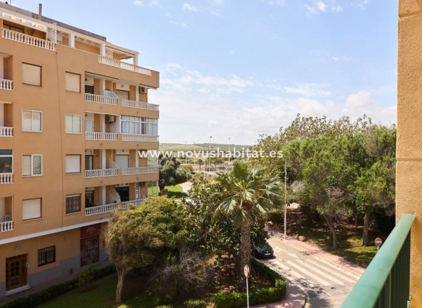 Nieuwbouw - Apartament - Torrevieja