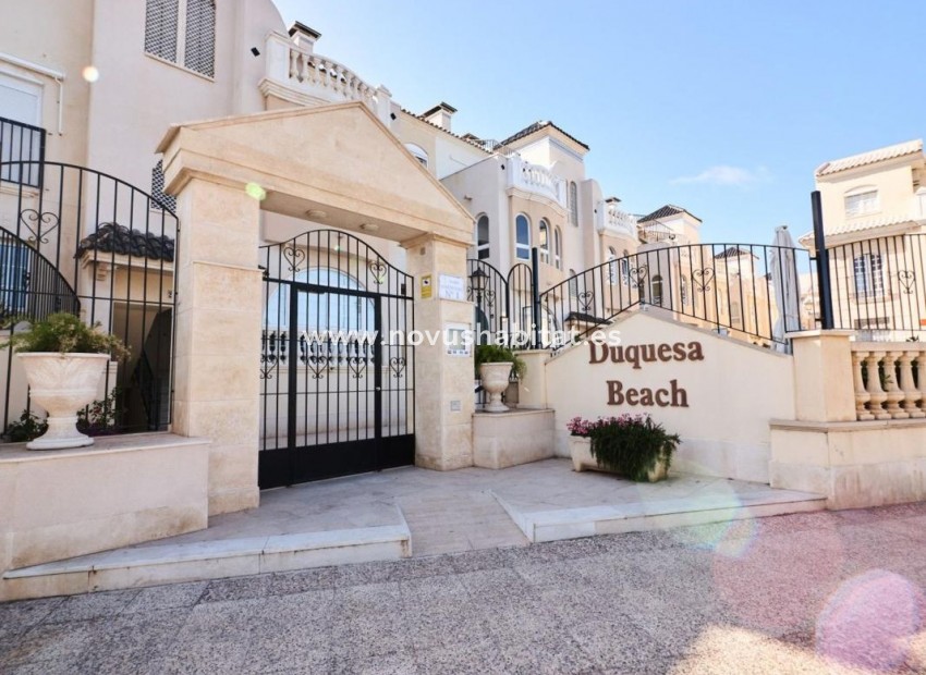 Nieuwbouw - Apartament - Torrevieja