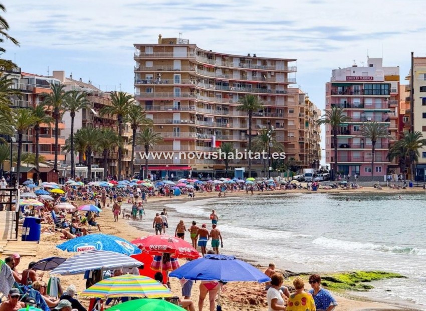 Nieuwbouw - Apartament - Torrevieja