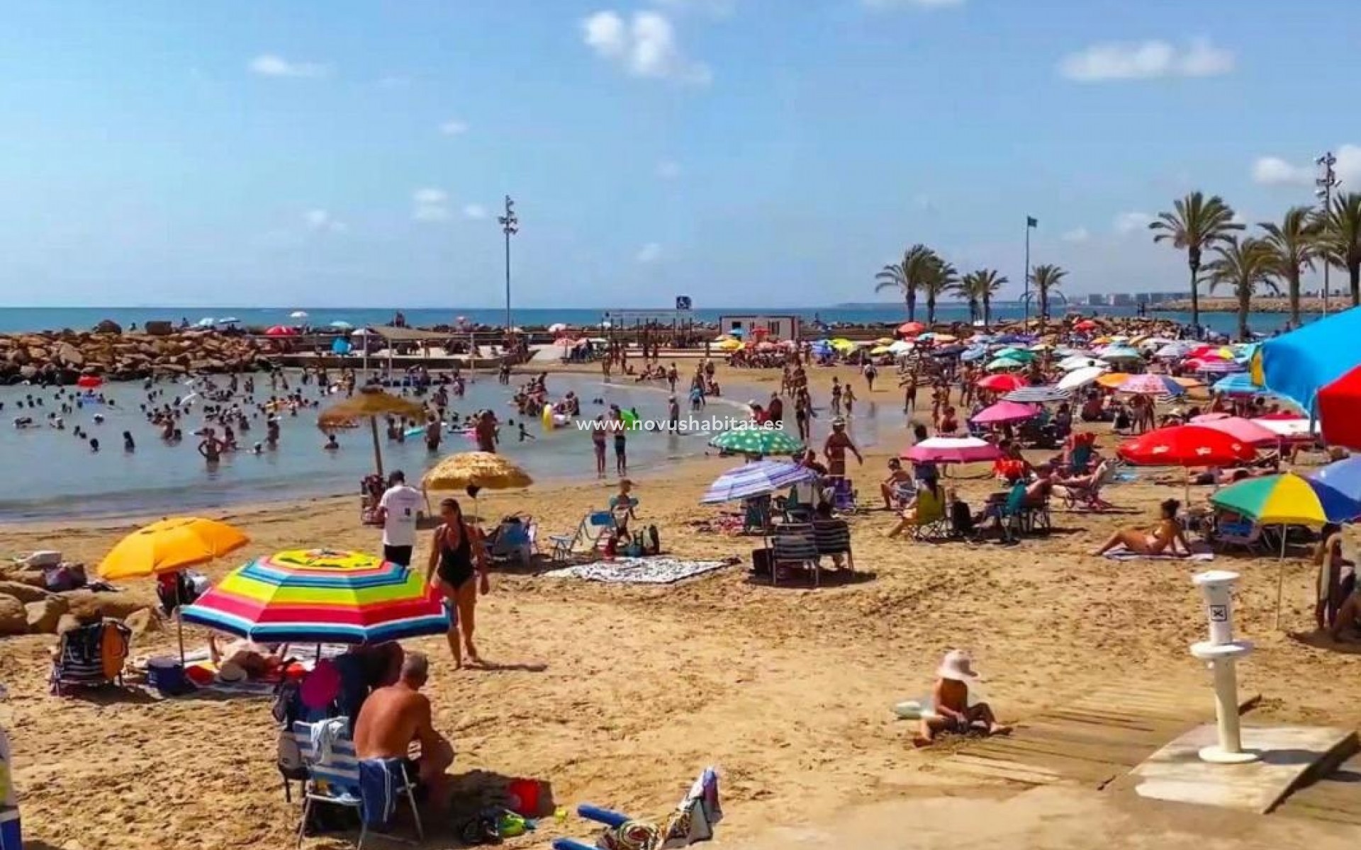 Nieuwbouw - Apartament - Torrevieja
