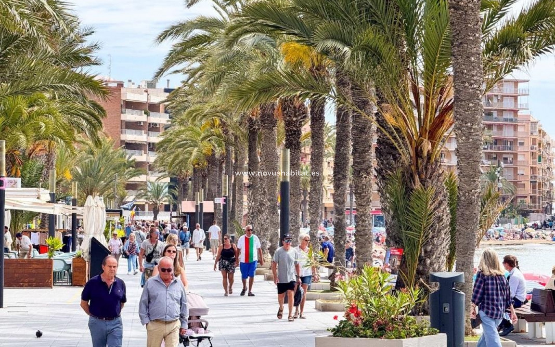 Nieuwbouw - Apartament - Torrevieja