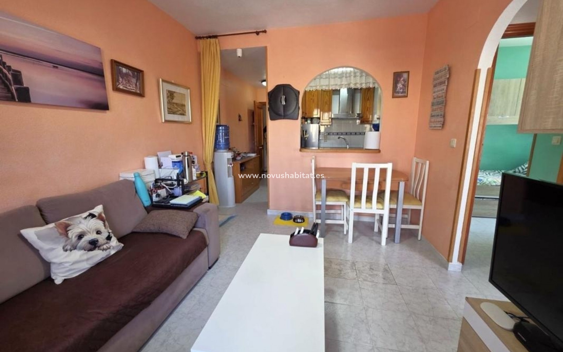 Nieuwbouw - Apartament - Torrevieja