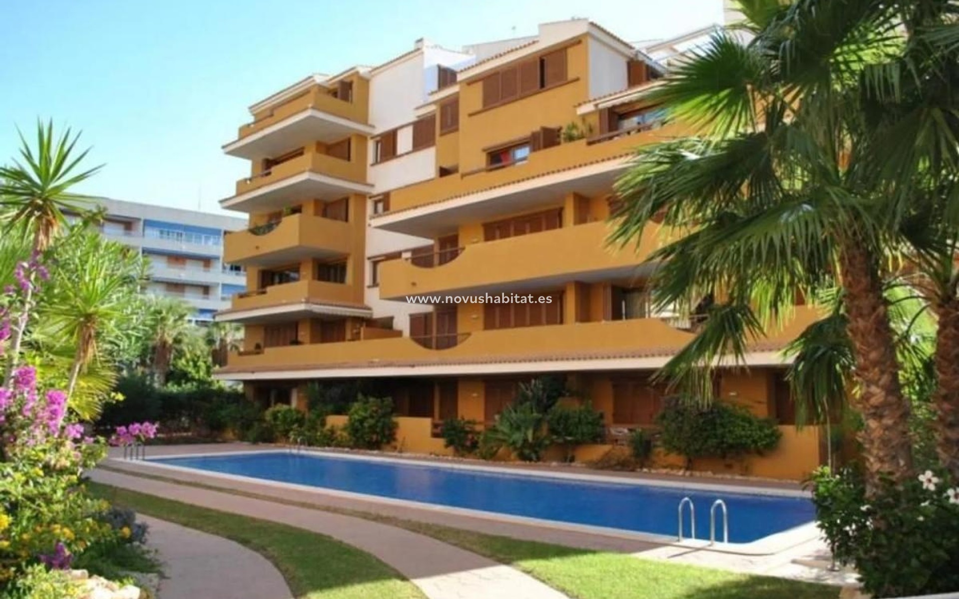 Nieuwbouw - Apartament - Torrevieja