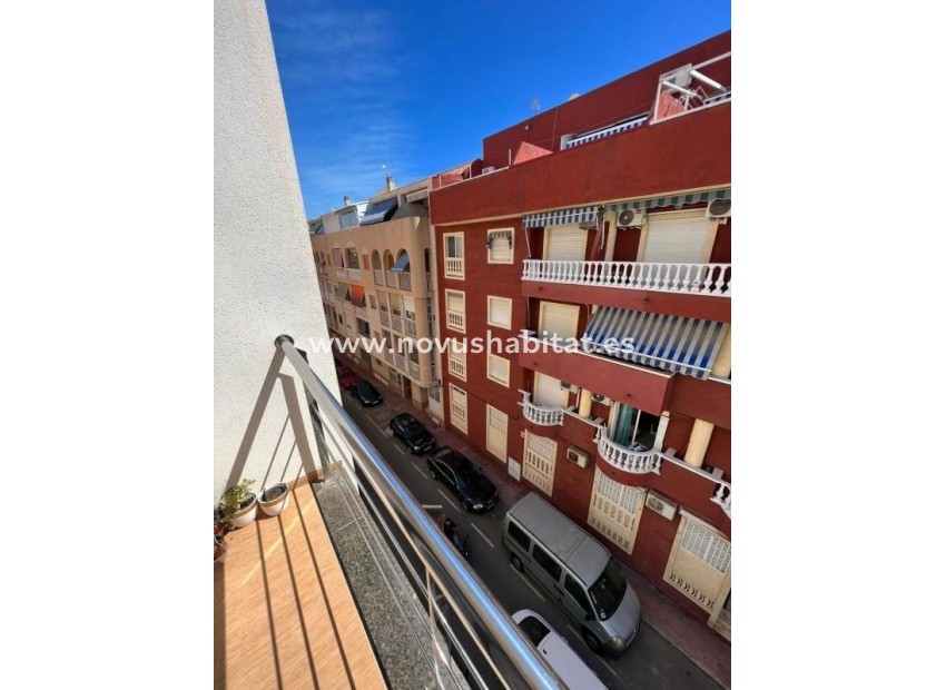 Nieuwbouw - Apartament - Torrevieja