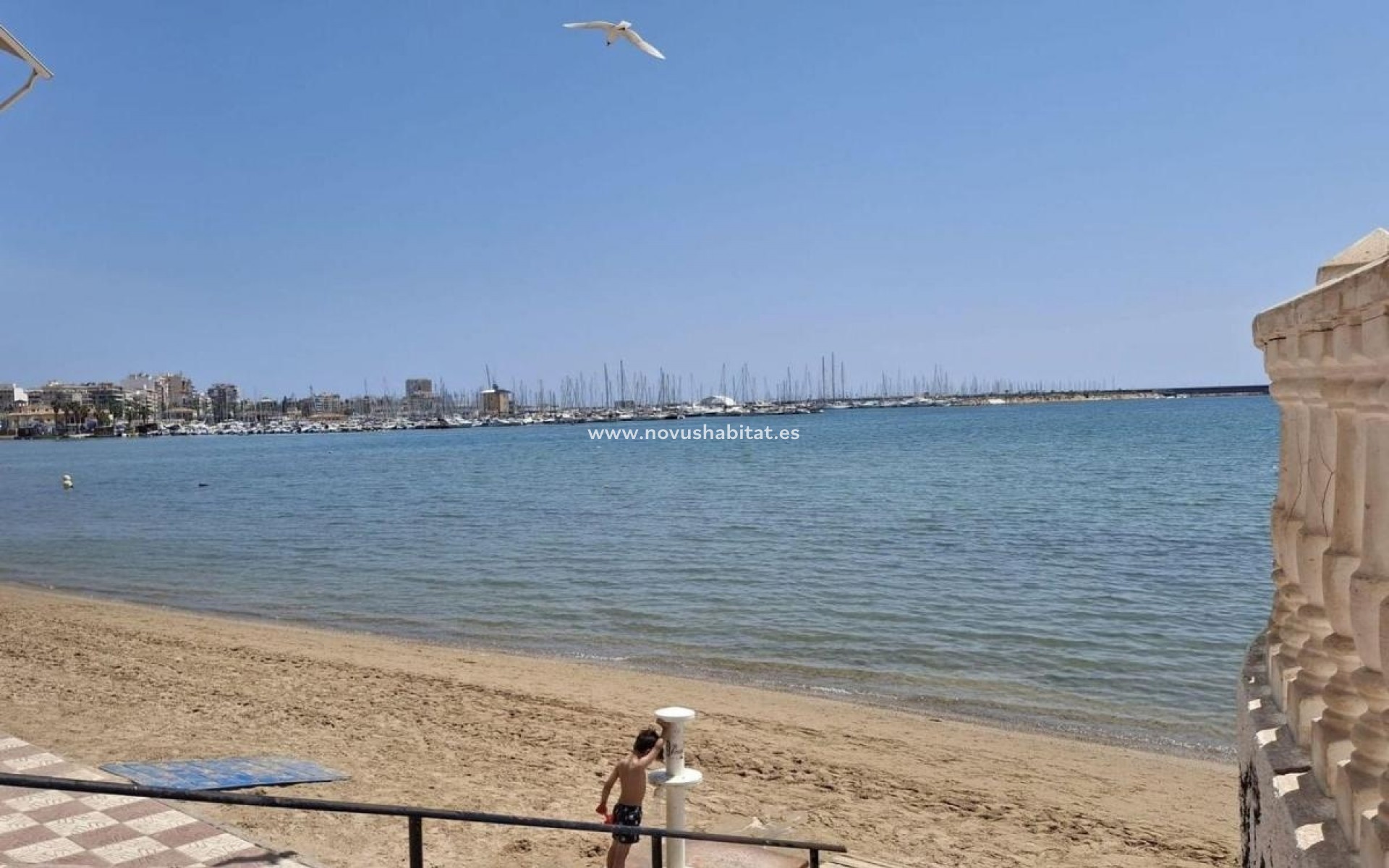 Nieuwbouw - Apartament - Torrevieja