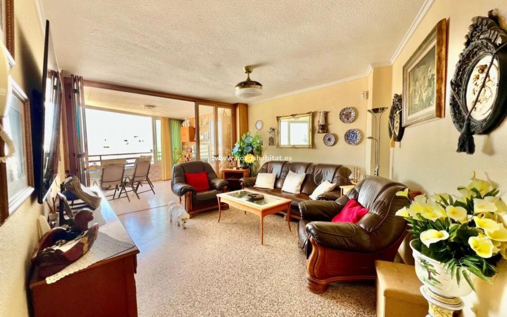 Nieuwbouw - Apartament - Torrevieja