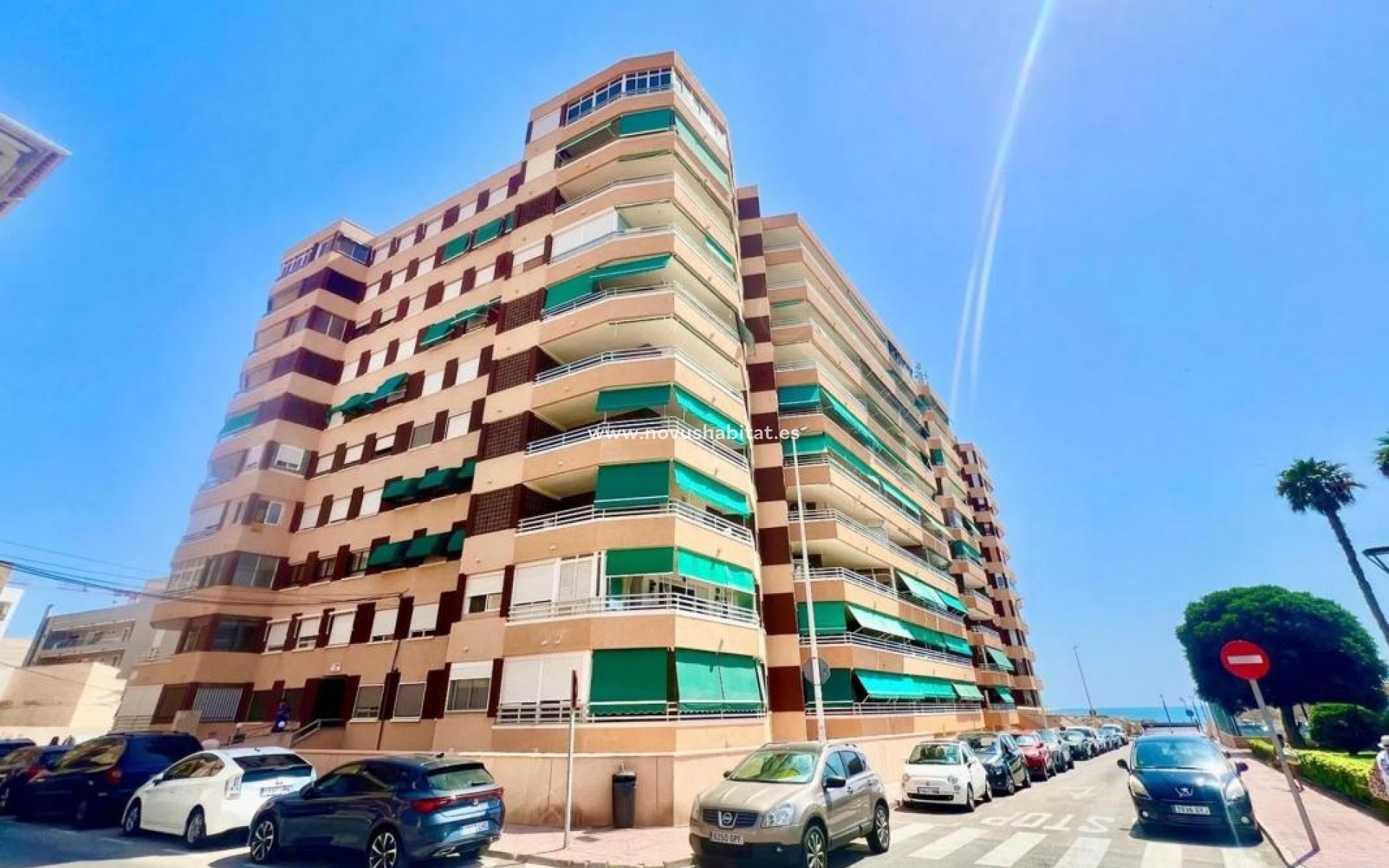 Nieuwbouw - Apartament - Torrevieja