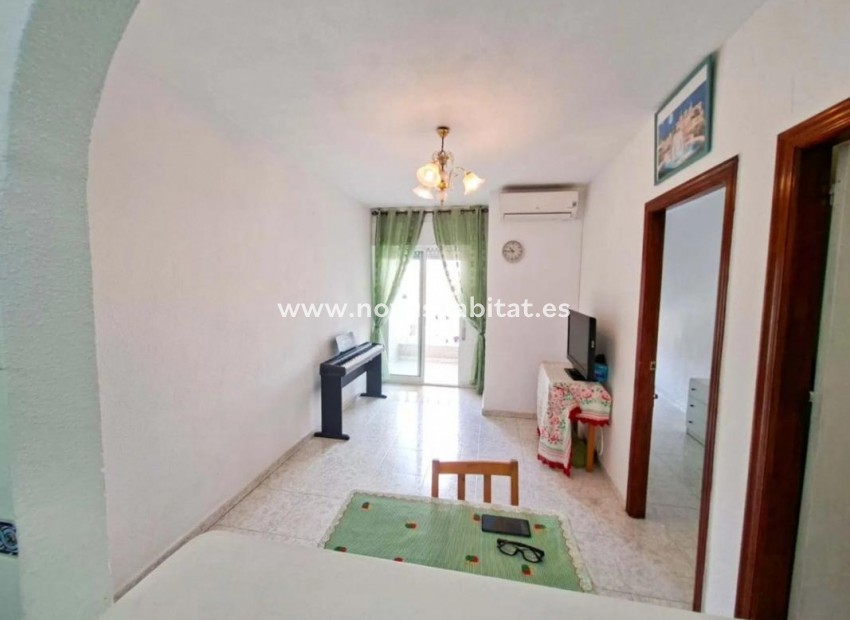 Nieuwbouw - Apartament - Torrevieja