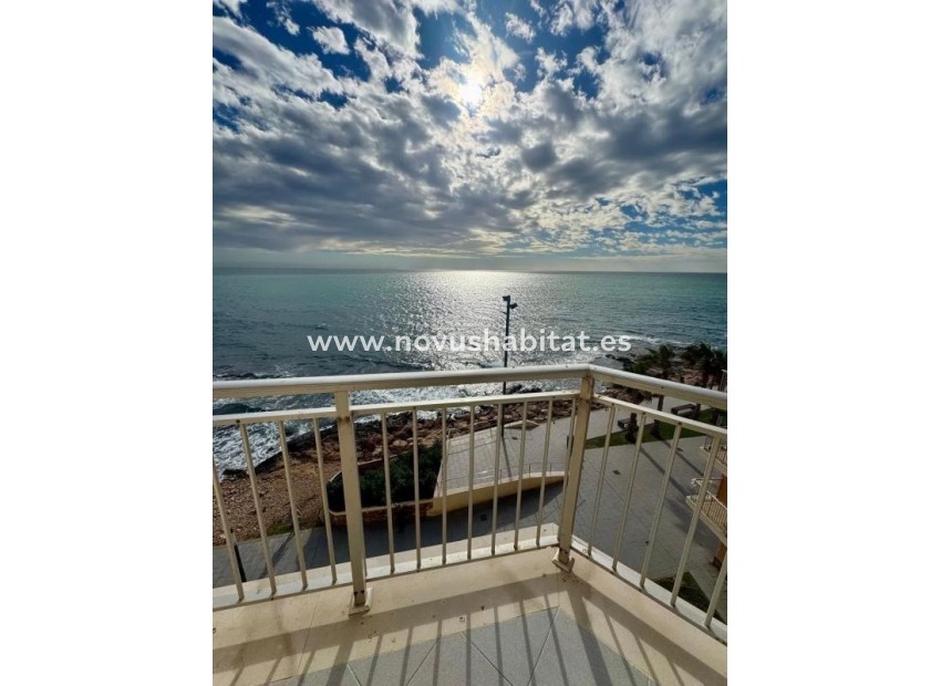 Nieuwbouw - Apartament - Torrevieja