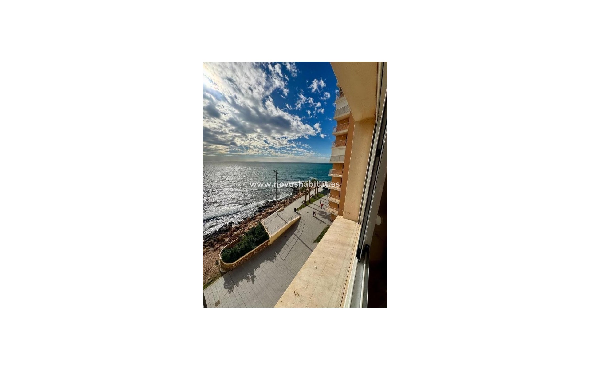 Nieuwbouw - Apartament - Torrevieja