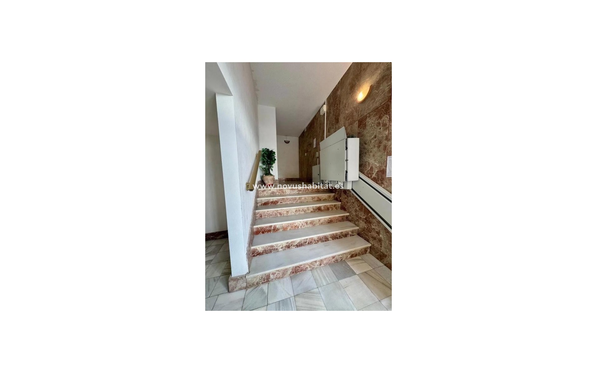 Nieuwbouw - Apartament - Torrevieja