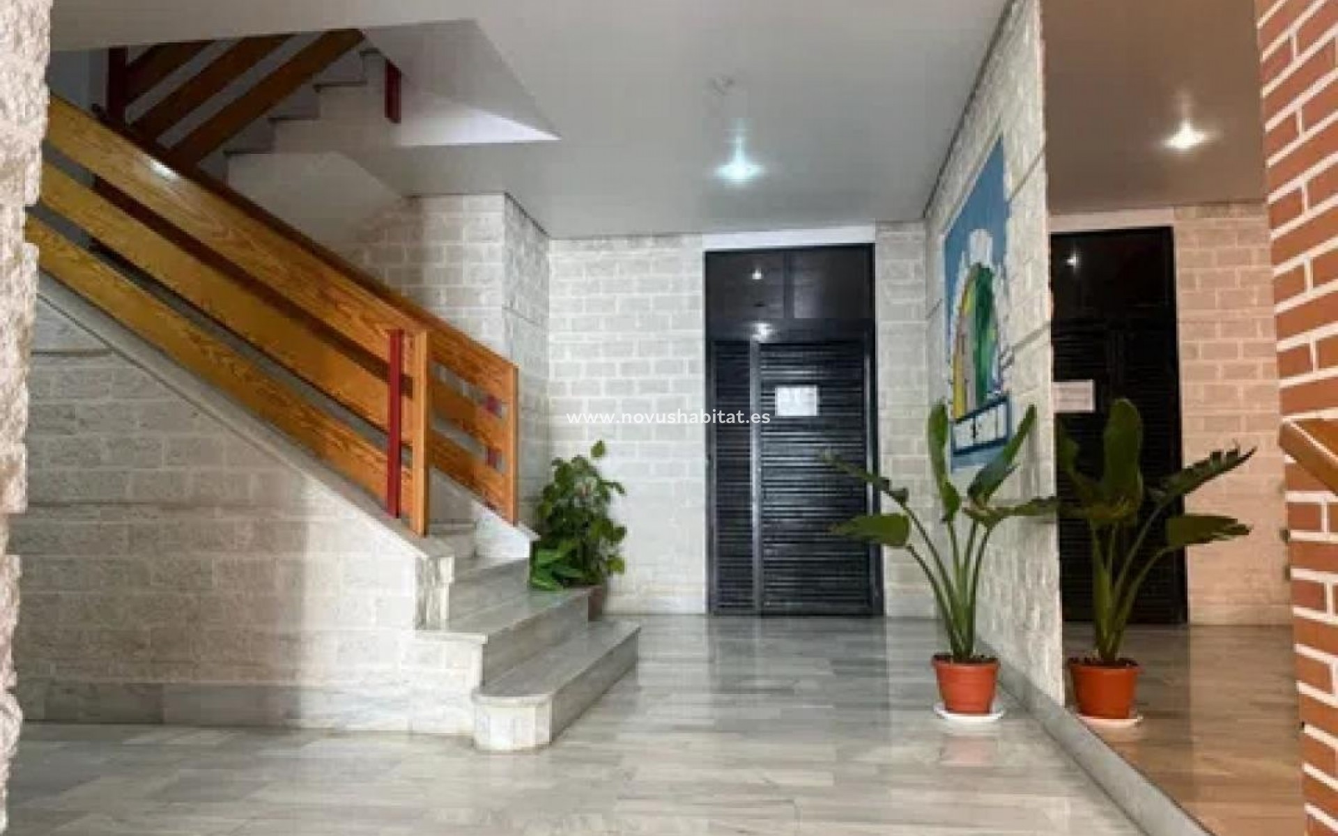 Nieuwbouw - Apartament - Torrevieja