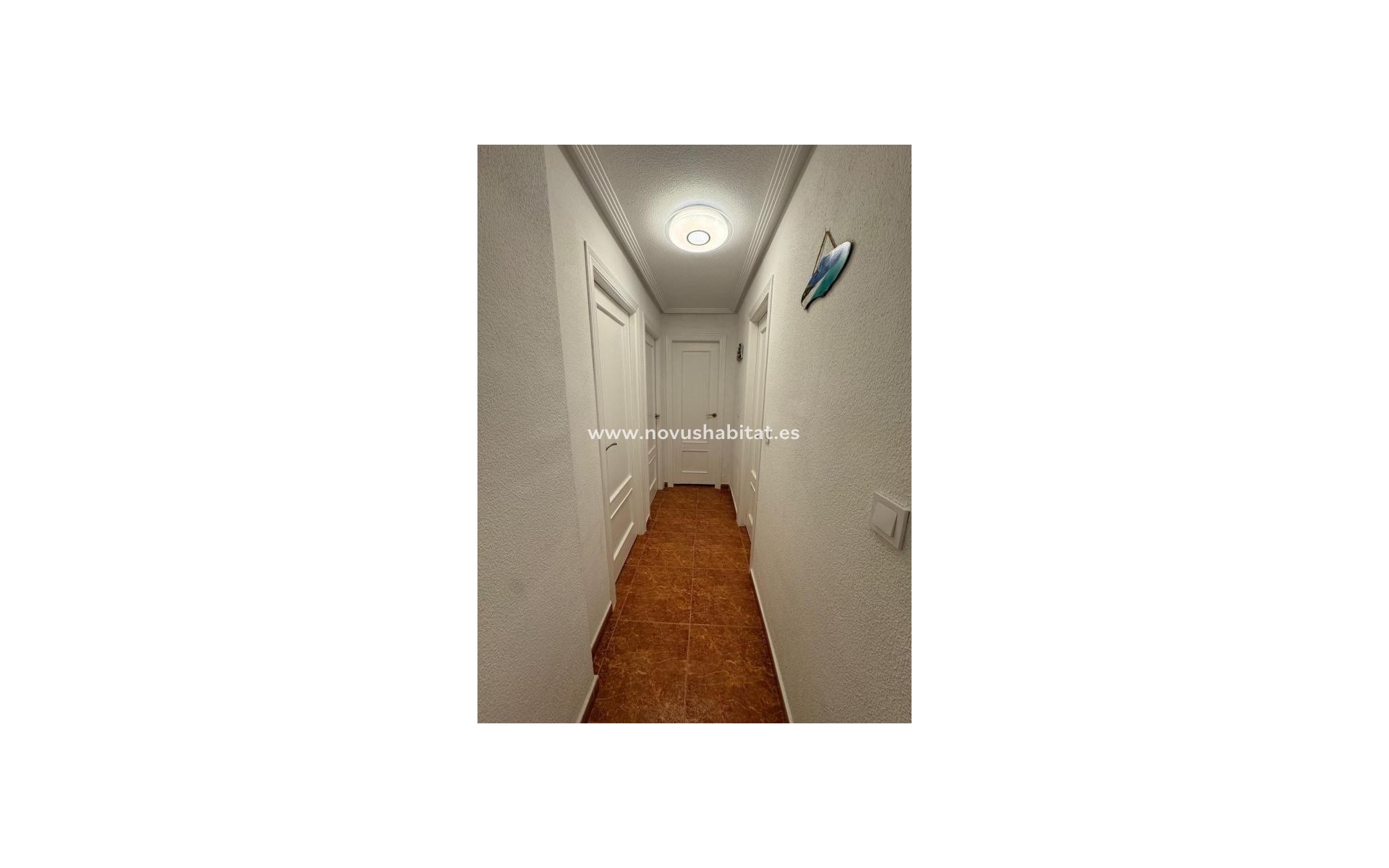 Nieuwbouw - Apartament - Torrevieja