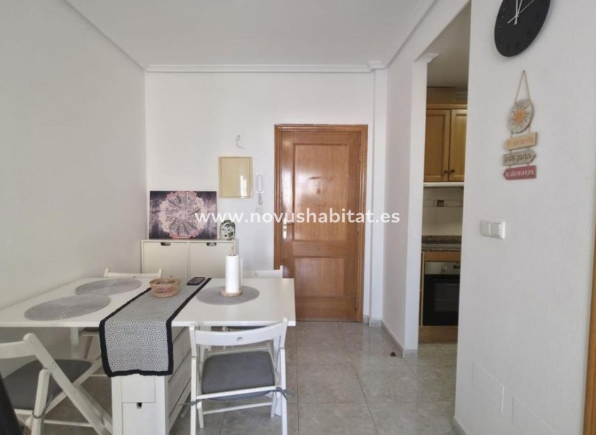 Nieuwbouw - Apartament - Torrevieja
