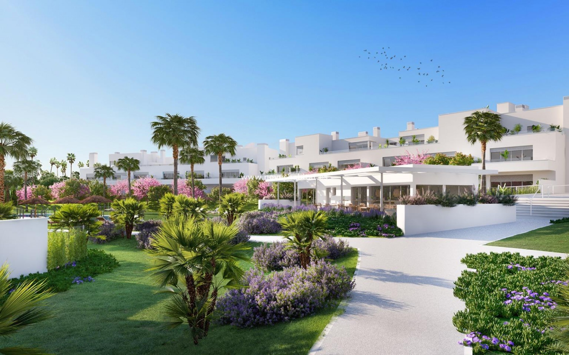 Nieuwbouw - Appartement - Estepona - Bel-air