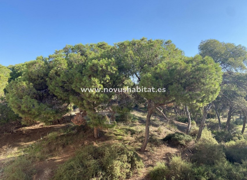 Nieuwbouw - Appartement - Guardamar del Segura