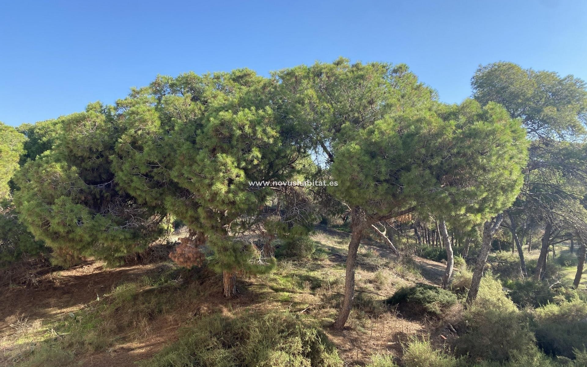 Nieuwbouw - Appartement - Guardamar del Segura
