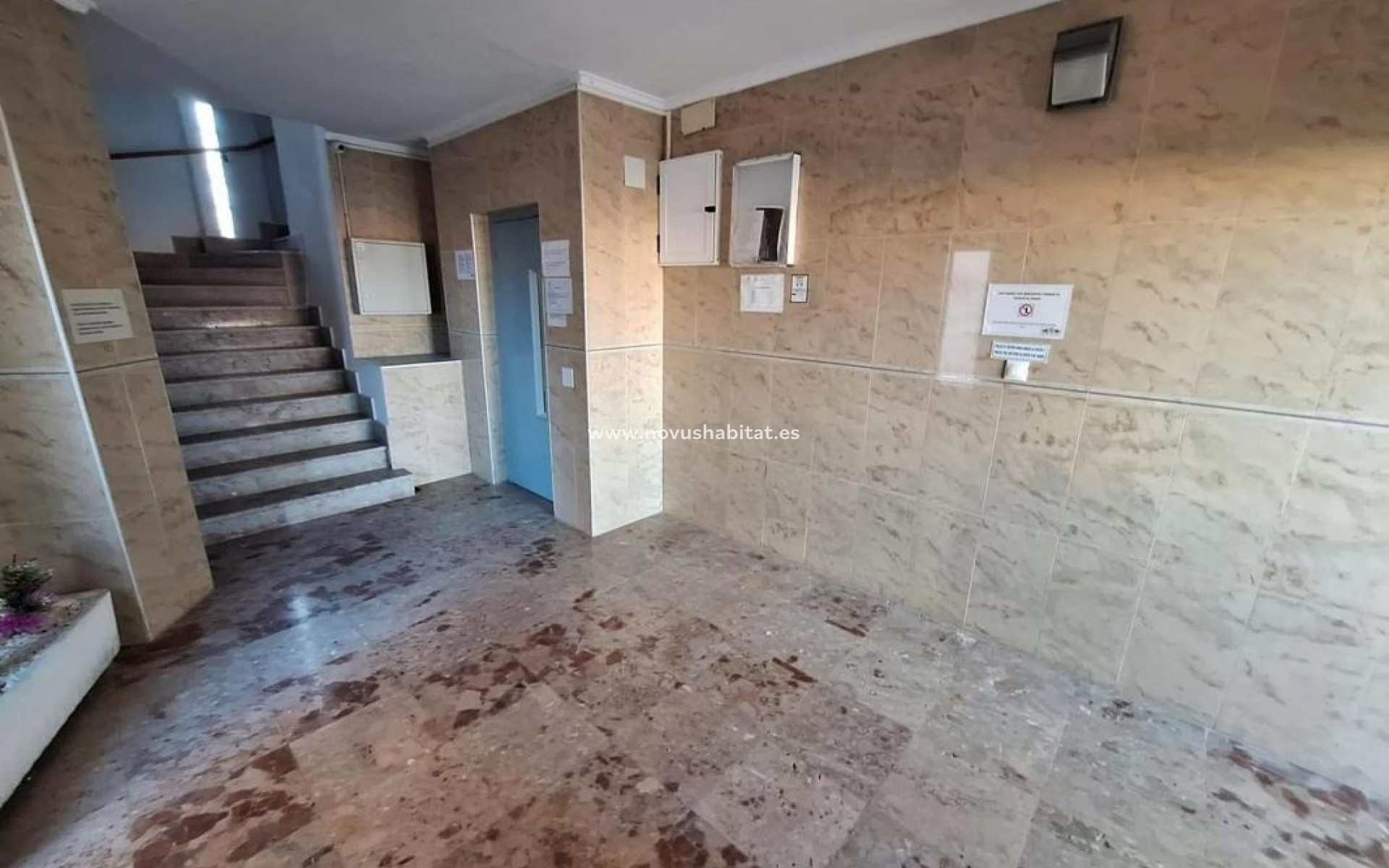 Nieuwbouw - Appartement - Torrevieja