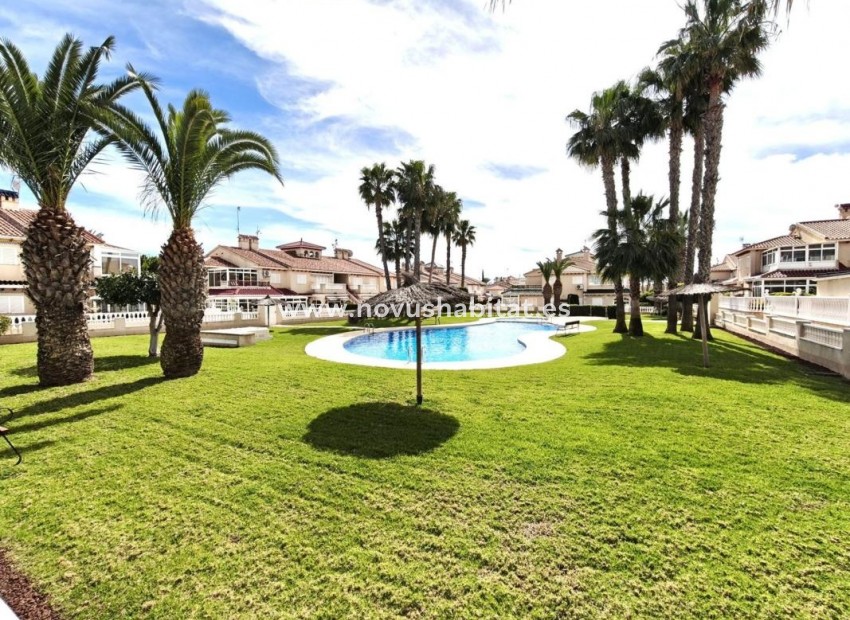 Nieuwbouw - Houses - Orihuela