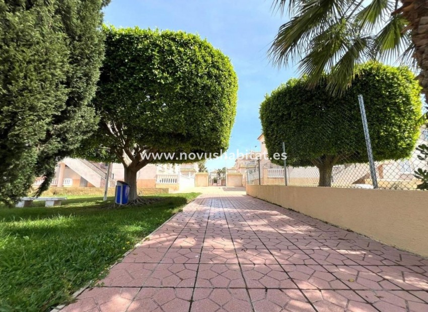 Nieuwbouw - Houses - Torrevieja