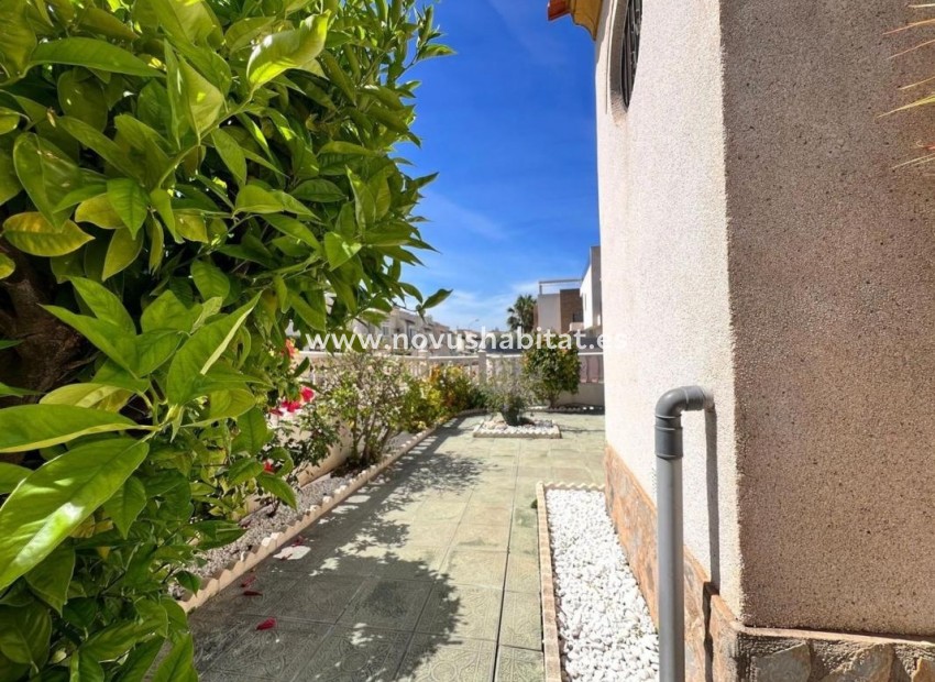 Nieuwbouw - Houses - Torrevieja