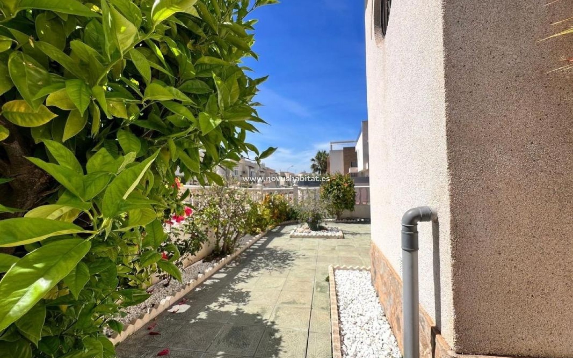 Nieuwbouw - Houses - Torrevieja