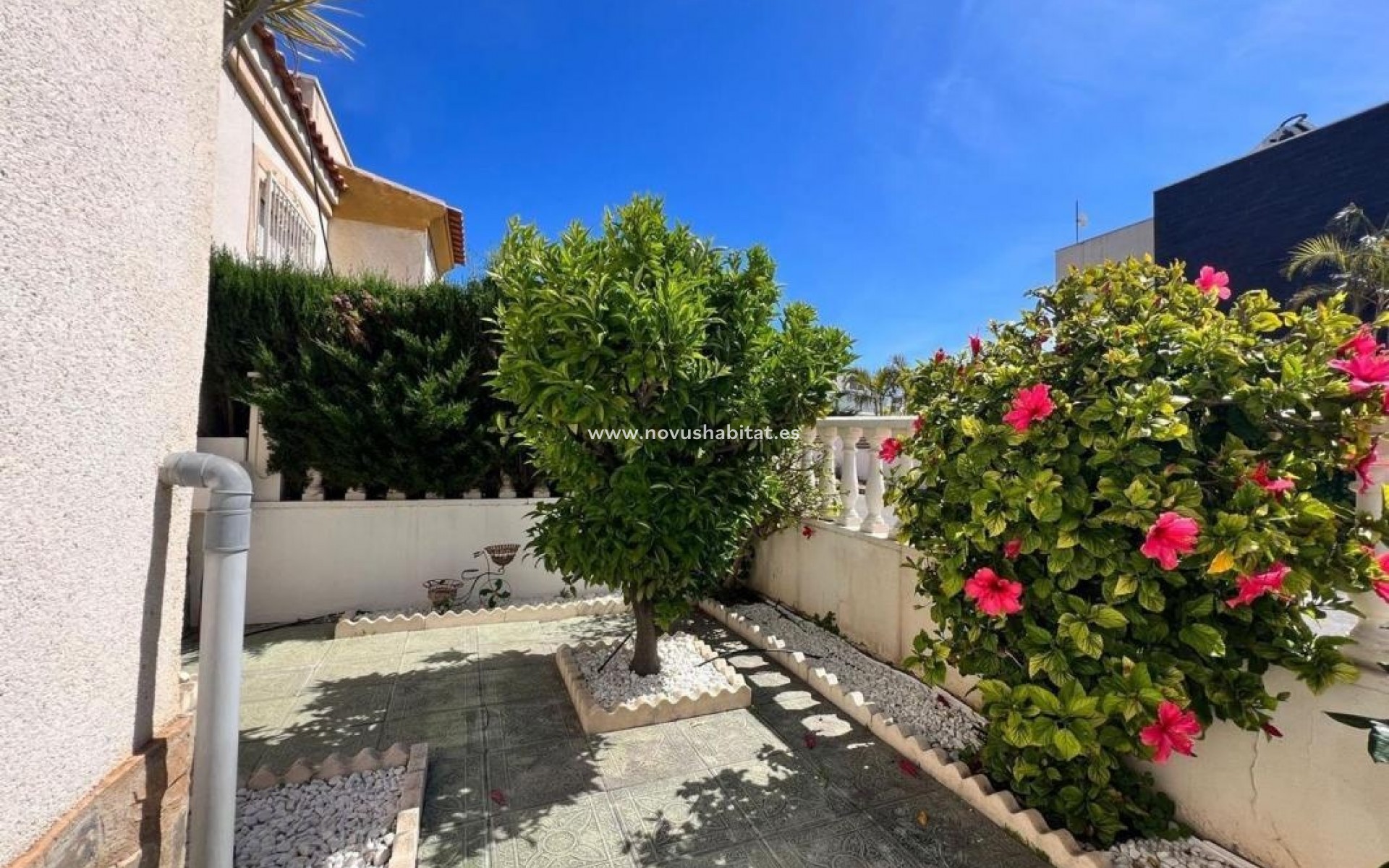 Nieuwbouw - Houses - Torrevieja