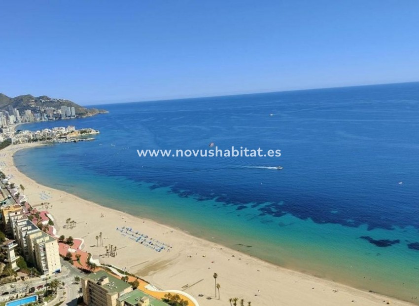 Nieuwbouw - Penthouses - Benidorm