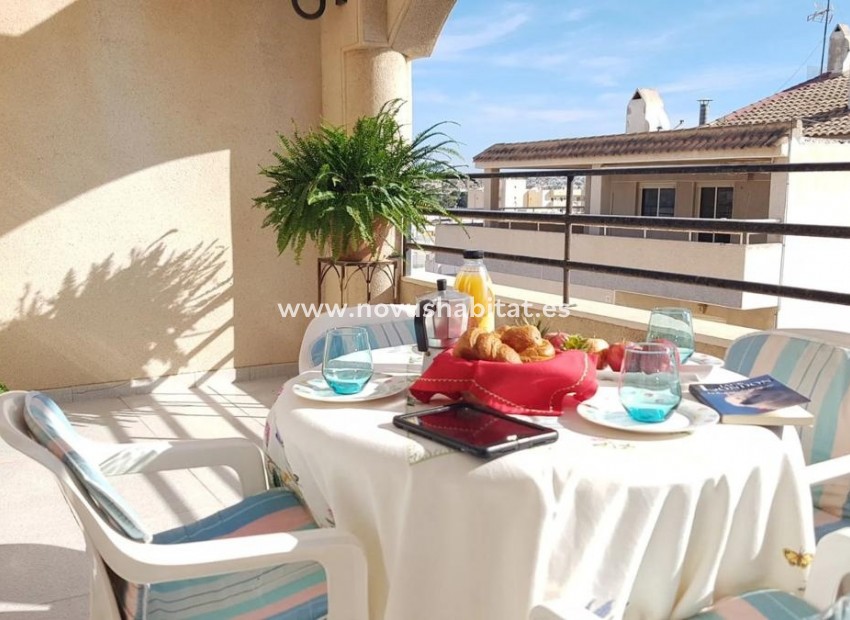 Nieuwbouw - Penthouses - Torrevieja