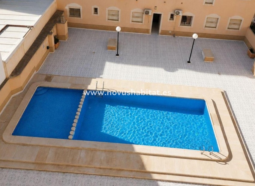 Nieuwbouw - Penthouses - Torrevieja