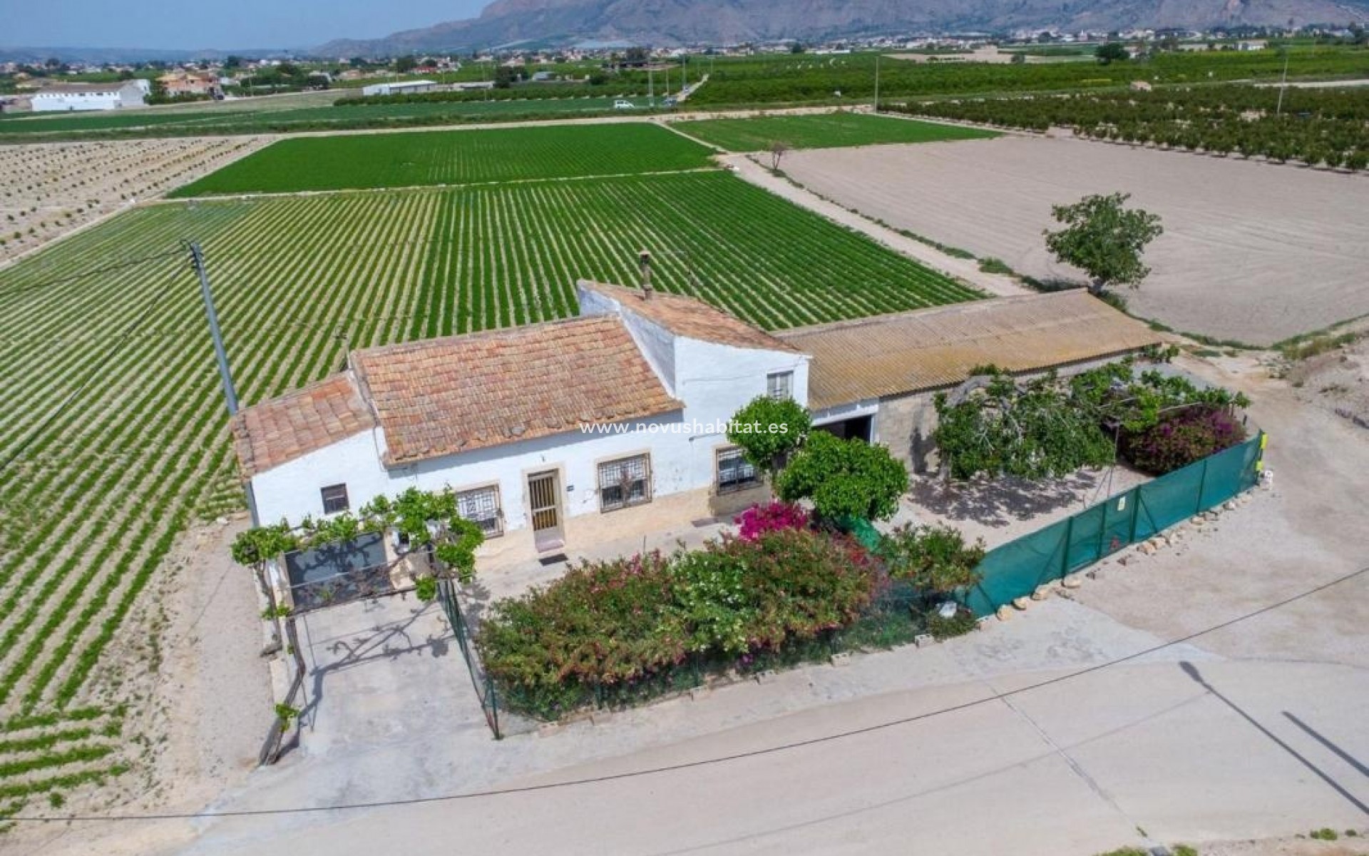 Nieuwbouw - Rustic estate - Orihuela