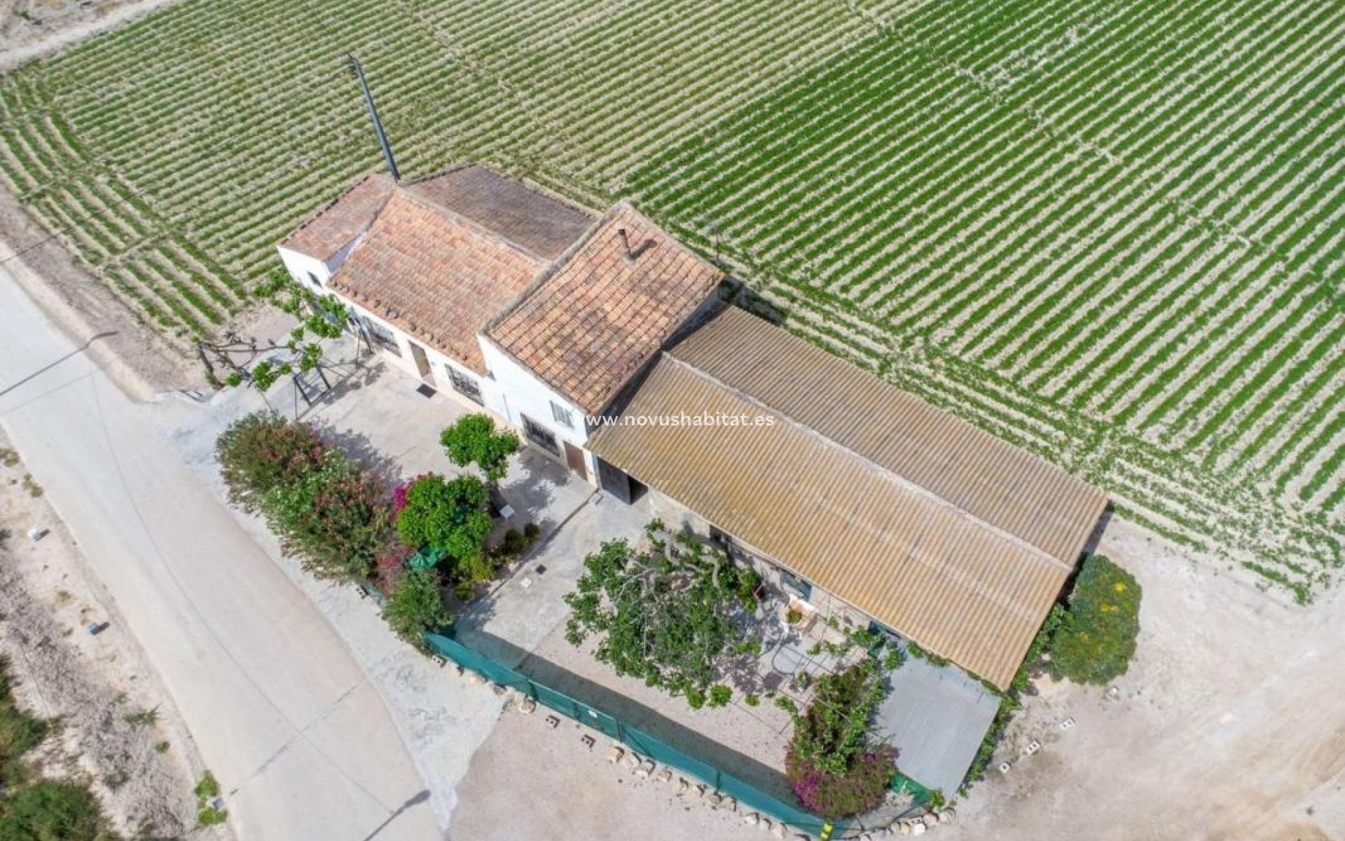 Nieuwbouw - Rustic estate - Orihuela