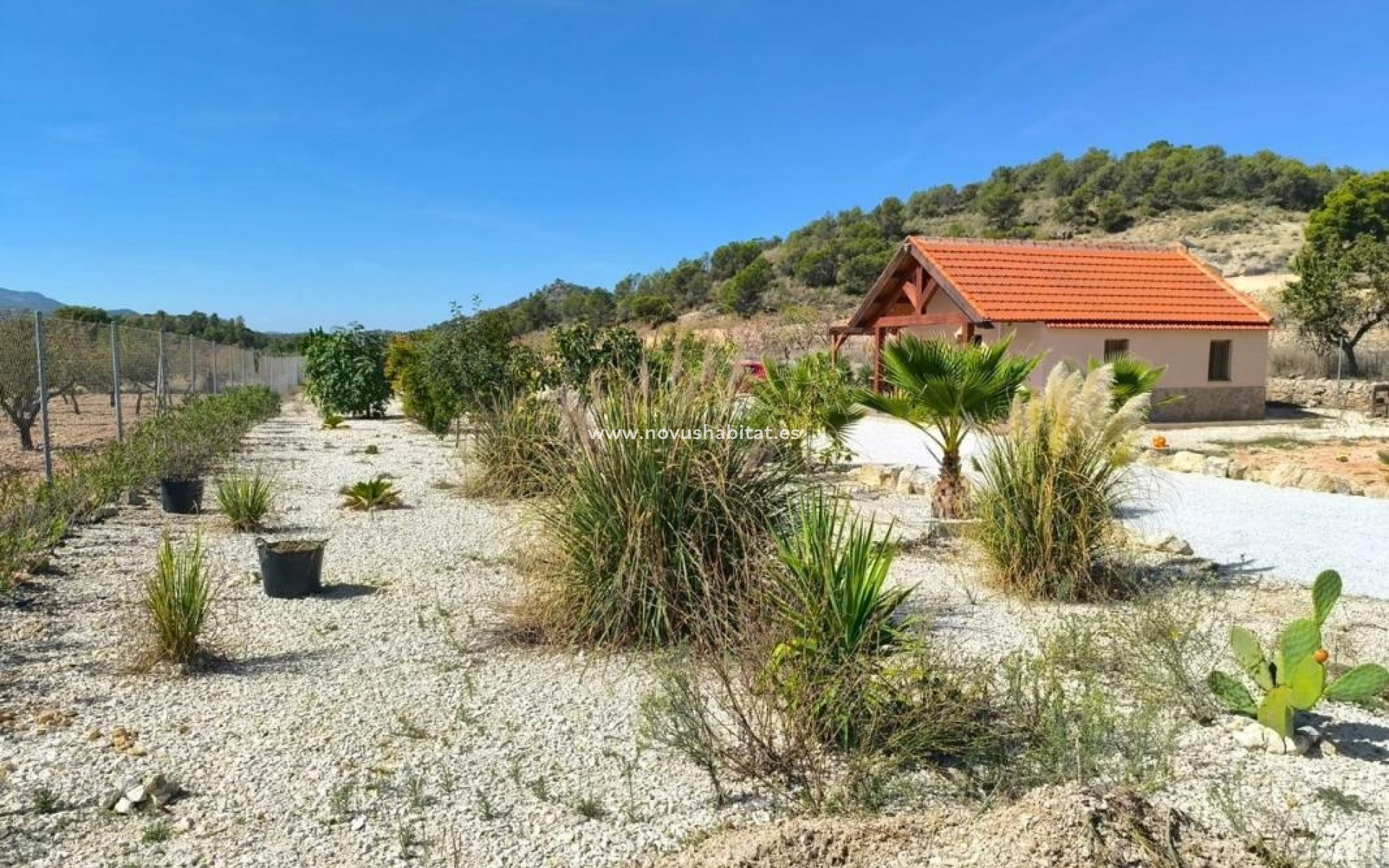 Nieuwbouw - Rustic estate - Pinoso