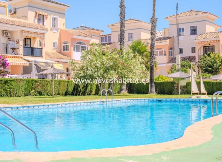 Nieuwbouw - Terraced houses - Orihuela