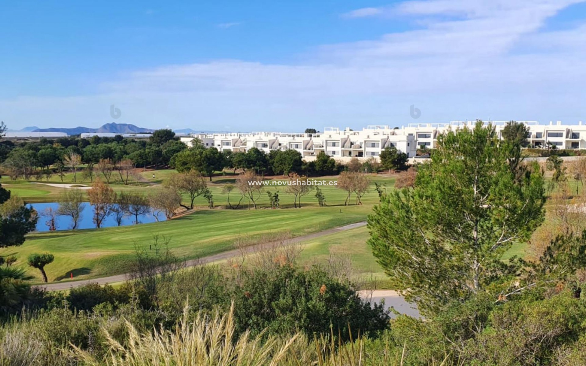 Nieuwbouw - Villa - Pilar de la Horadada - Lo Romero Golf