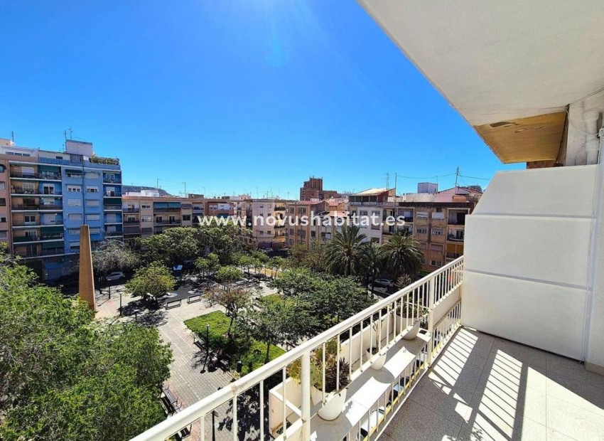 Nouvelle construction - Apartament - Alicante