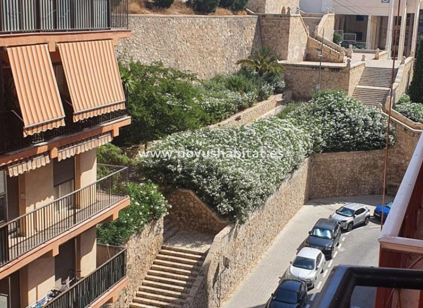 Nouvelle construction - Apartament - Alicante